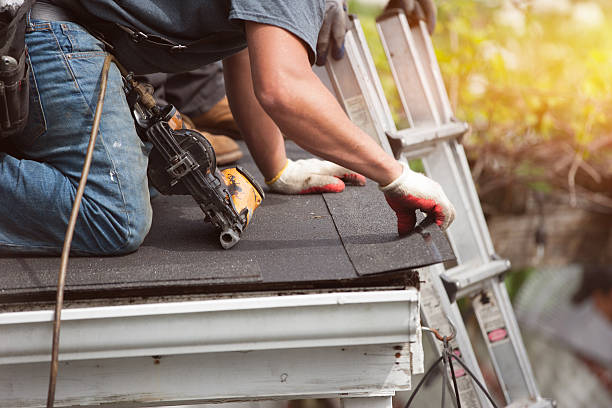 Best Storm Damage Roof Repair  in Curtisville, PA